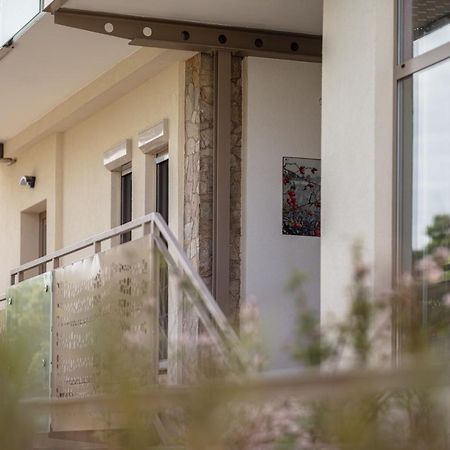 Pannonia Appartements 2 نيوسيدل آم سي المظهر الخارجي الصورة